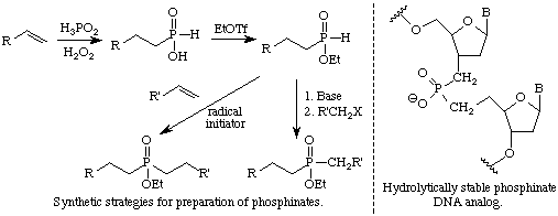 Synthetic Strategies for Phosphinate DNA